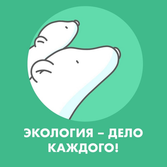 Итоги IV Международной детско-юношеской премии «Экология - дело каждого» в Энгельсском муниципальном районе.